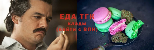 spice Дмитриев