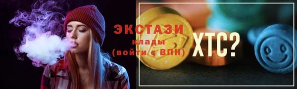 spice Дмитриев