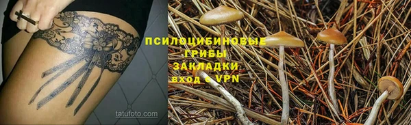 таблы Дмитровск