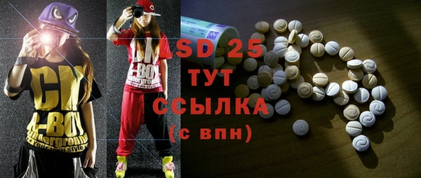 spice Дмитриев