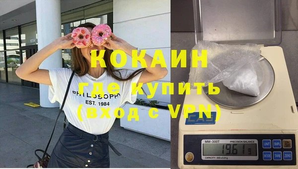 spice Дмитриев