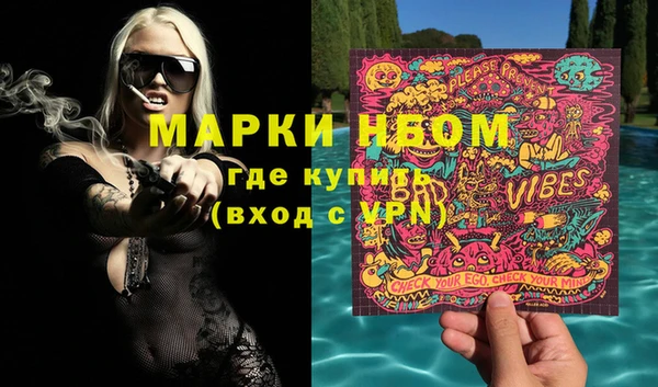 spice Дмитриев